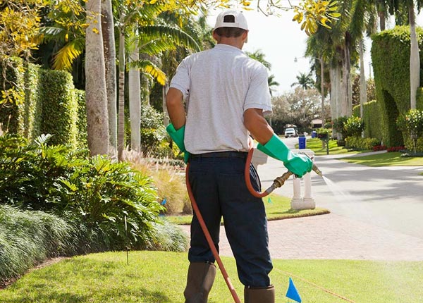 About King Of Prussia PA Pest Control Pros